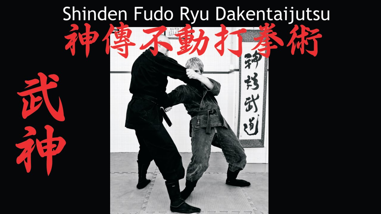 Shinden Fudo Ryu Nichigeki