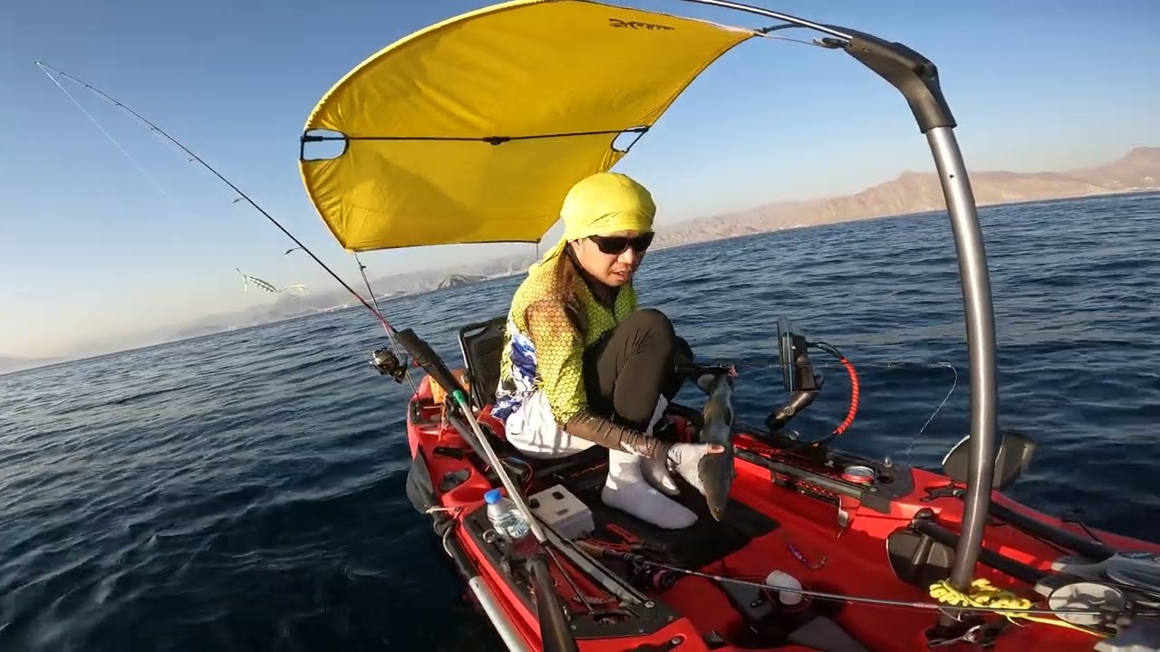 Kayak fishing in Fujairah / Barracuda