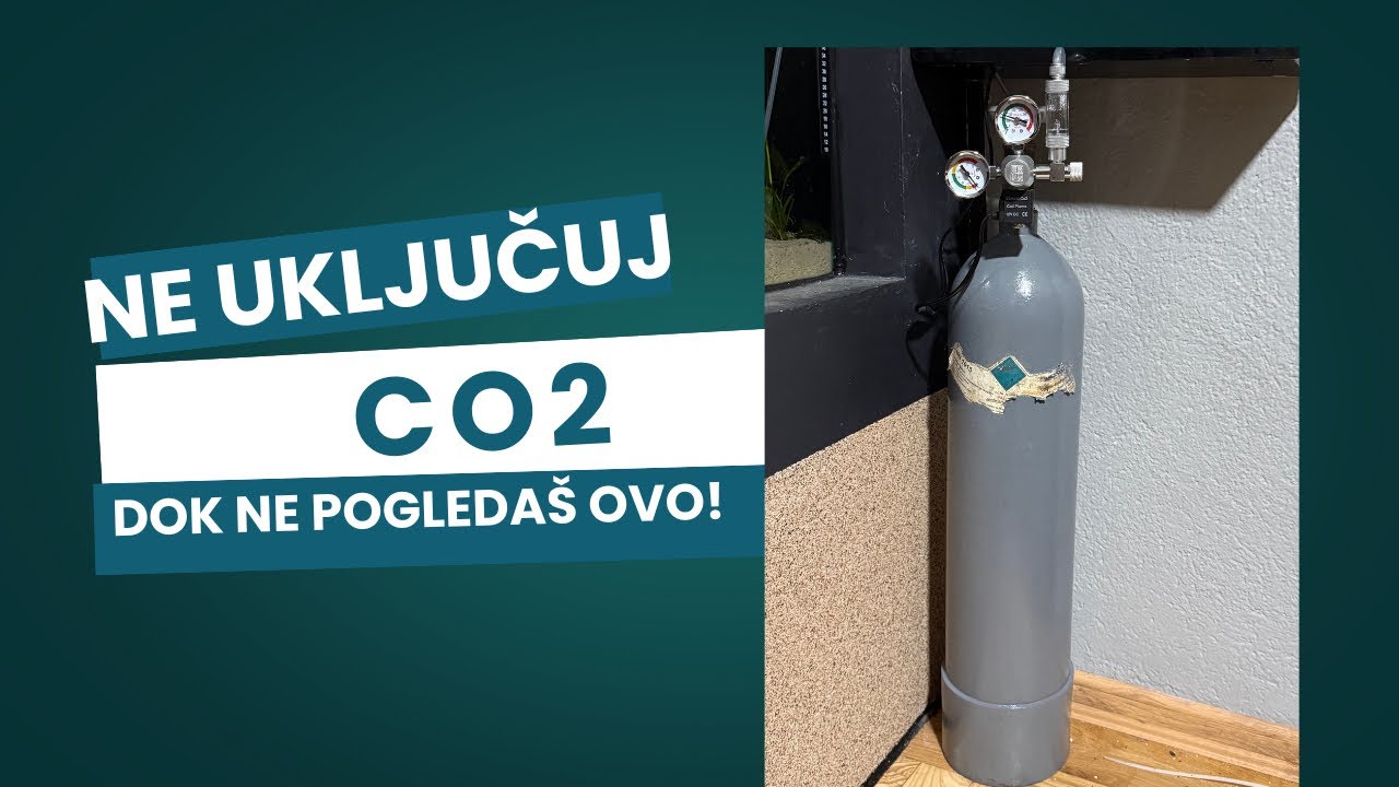 CO₂ SISTEM ZA AKVARIJUM – SVE ŠTO TREBAŠ ZNATI 💨🌿 (Vodič za početnike i napredne)