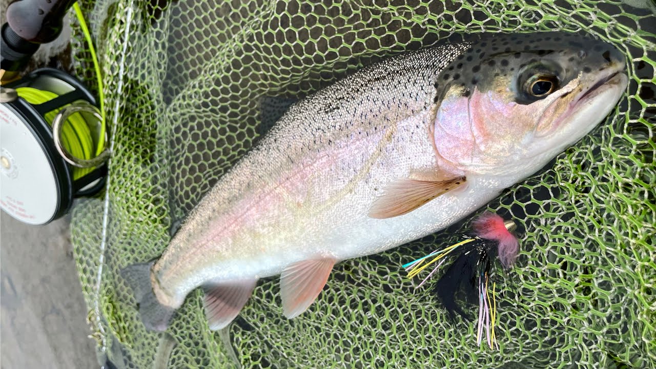 Teshio river Hokkaido 天塩川 / slow fishing