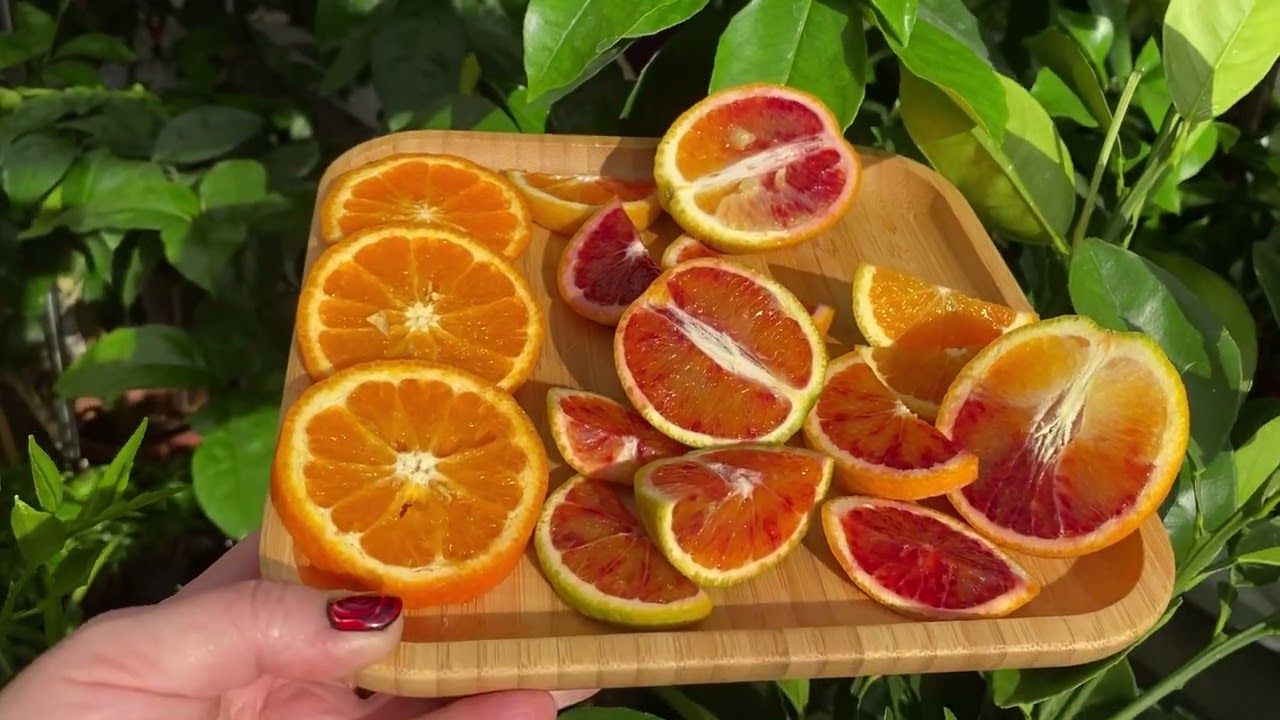 Пигментированные апельсины