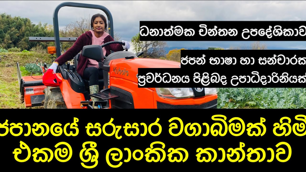 ජපානයේ ගොවිපොළක් හිමි අපේ ජපන් ගෙවිලිය | Udara Sankalpani |