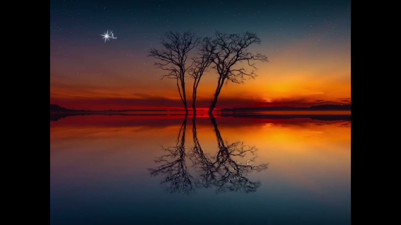 أَرَجُ دَارِيْــن فـي تَعَـامُـلِ الأَمِـيْــن مَع المُخْطِئيــن (25)
