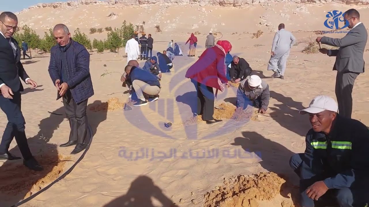 الحملة الوطنية لغرس 5 مليون شجيرة : الشروع في غرس 10 آلاف شجيرة عبر بلديات ولاية أدرار