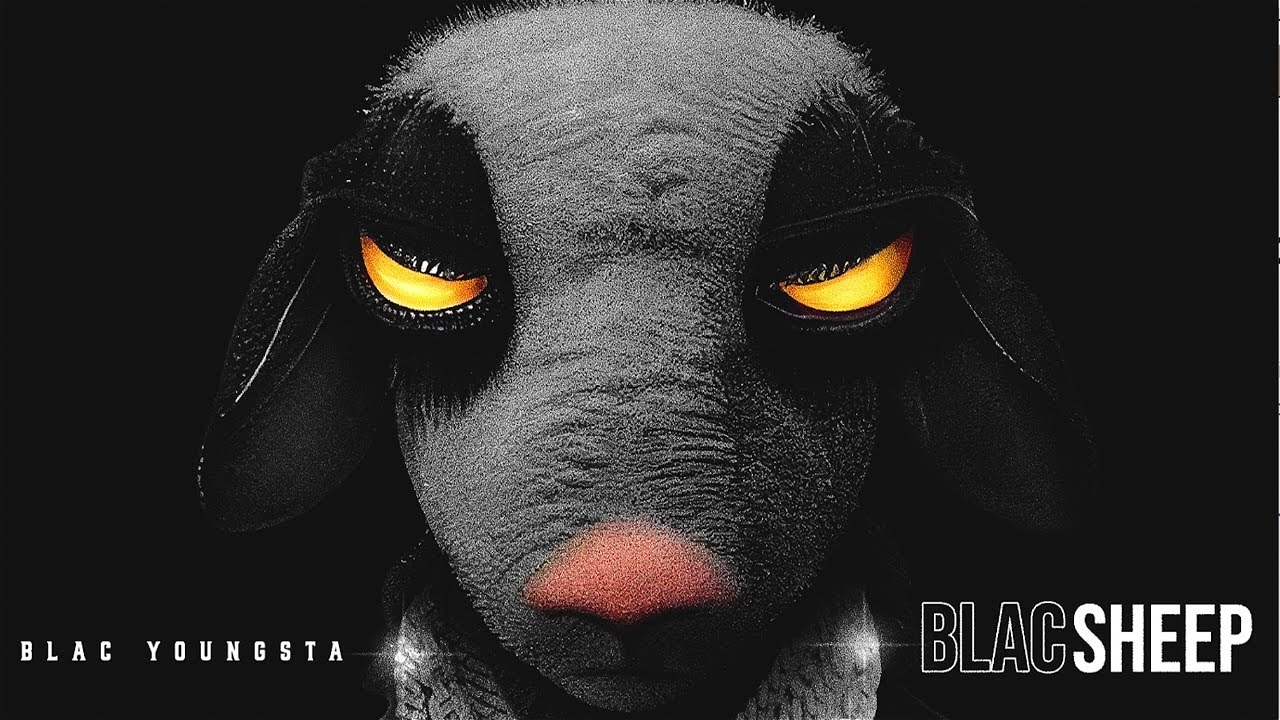 Blac Youngsta - Back On It (Official Visualizer)