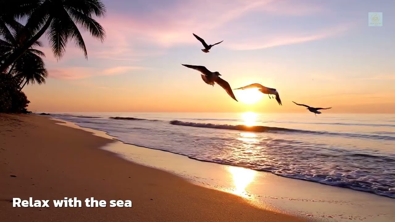 🎧 Music Relax Sea Moonlit Drift Piano – ลอยใต้แสงจันทร์เหนือผืนน้ำทะเลอันเงียบสงบ