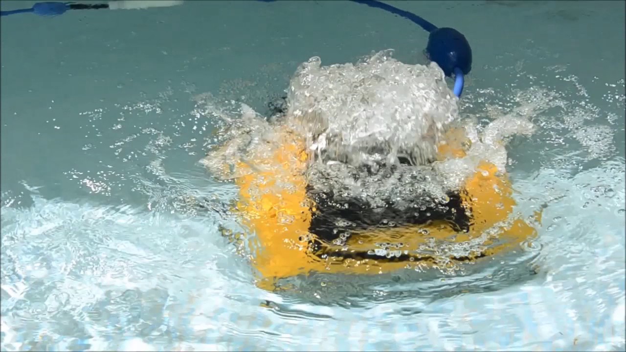 Robot de piscine Dolphin W20
