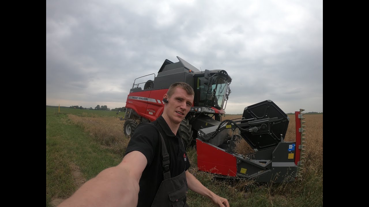 Rzepak z Massey Ferguson 7347 DEMO Roltoma