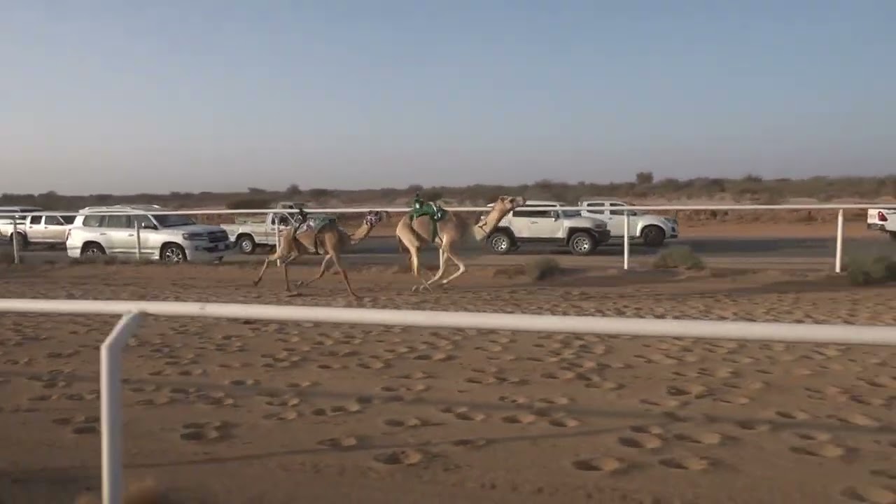 ش9 بكار مفاريد 1447/09/25هـ - 2026/03/14م (طلائع) بدر عليان محفوظ القويعاني