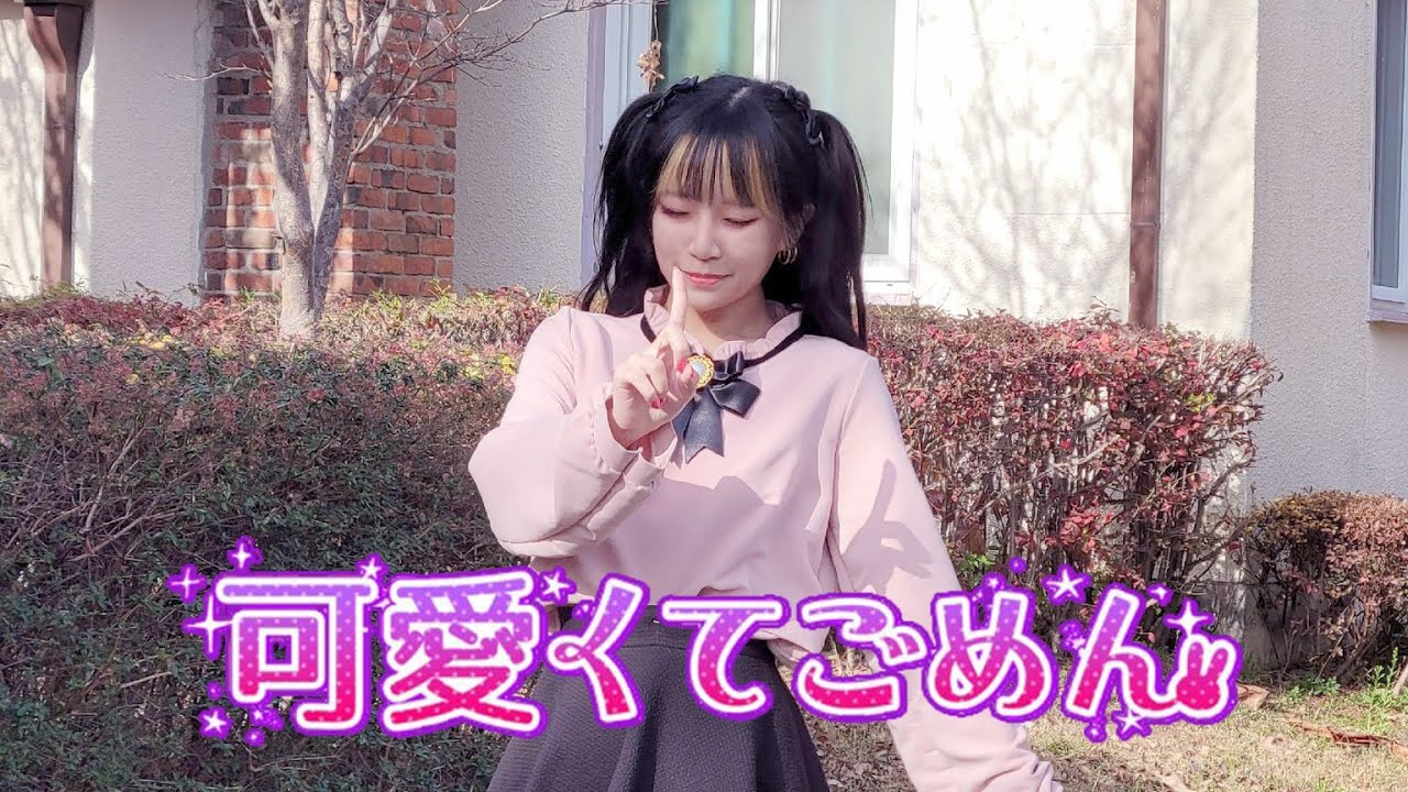 【요루】 귀여워서 미안해 (可愛くてごめん) / HoneyWorks 춤춰보았다 【踊ってみた】