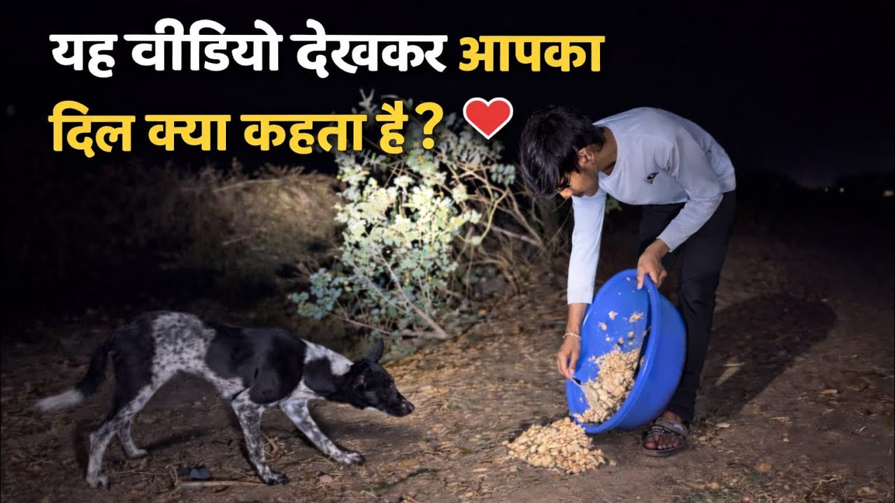 Yeh video dekhkar aapka dil kay keheta hai ?🤔