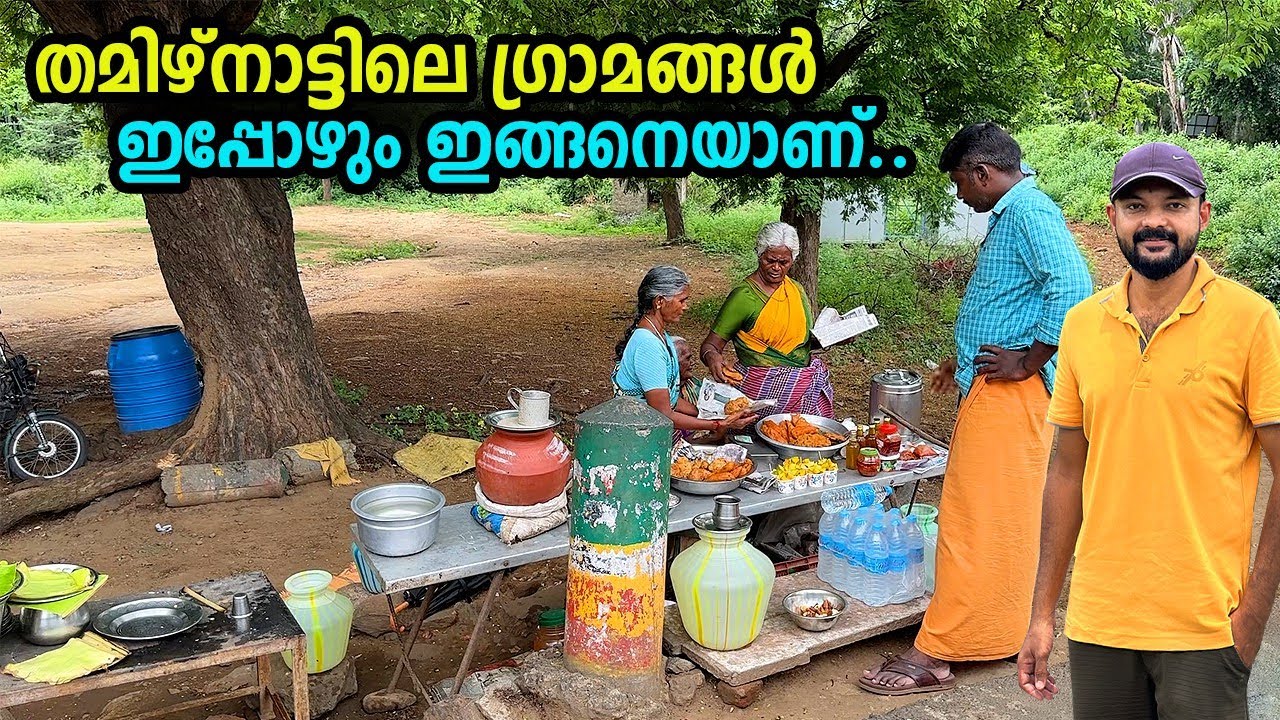 ഇതൊക്കെയാണ് നമ്മൾ കാണേണ്ട കാഴ്ചകൾ.. സ്വർഗ്ഗം പോലെ ഒരു ഭൂമി.. കാടും മലയും പുഴയും കടന്ന് ഒരു യാത്ര...