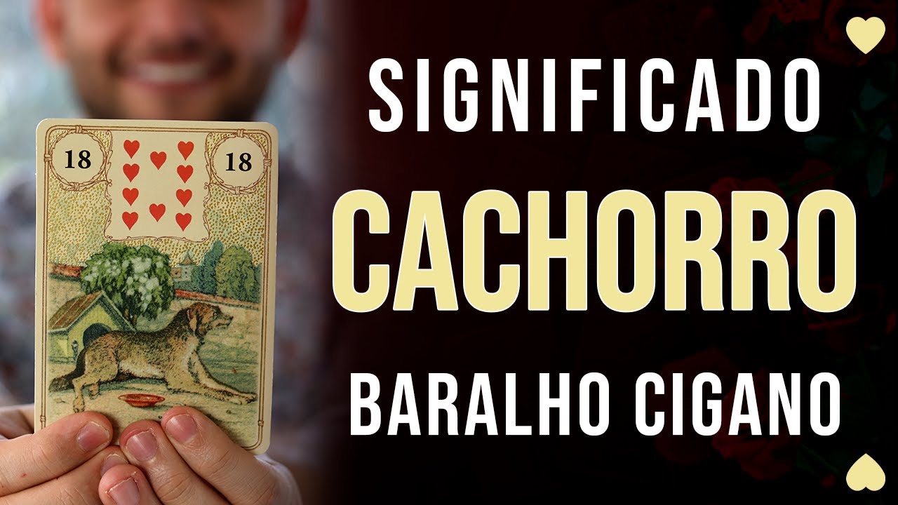 Significado carta Cachorro - Baralho Cigano - Carta 18