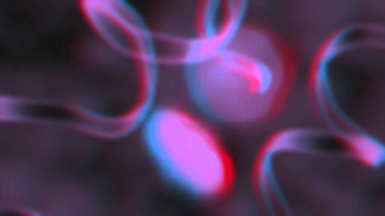 Ztring Theory - Anaglyph 3D Video [HD]