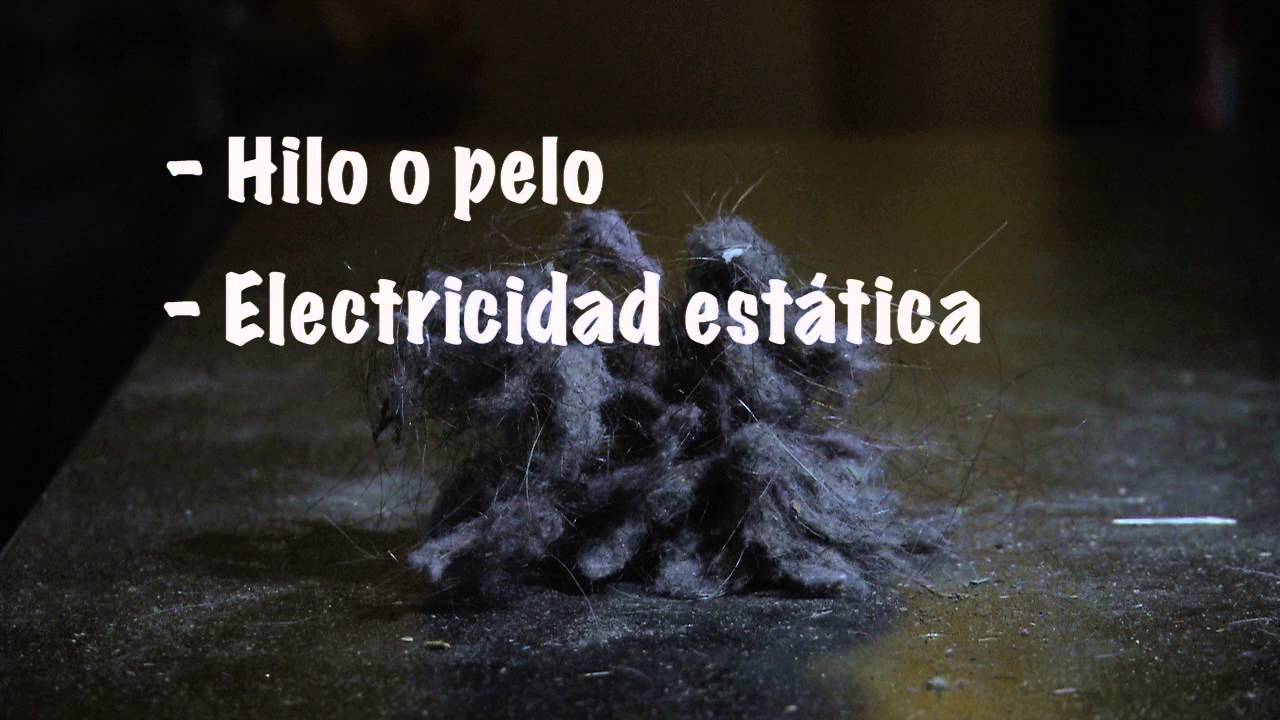 Pelusas, ¿Qué son y cómo se forman?