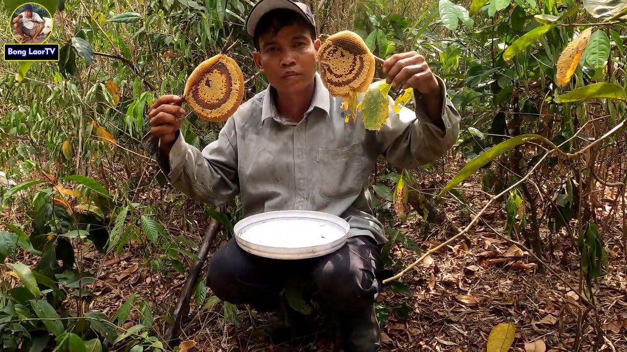 ឡើងលើភ្នំដើររកឃ្មុំបានជួបផ្លែឈើច្រើនប្រភេទ SWEET FORESH FRUITS ON THE MOUNTAIN WITH UMMY BEES 4K