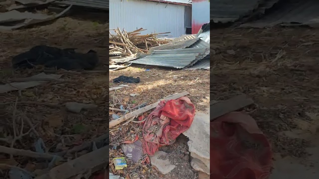 ١٣ يناير ٢٠٢٦