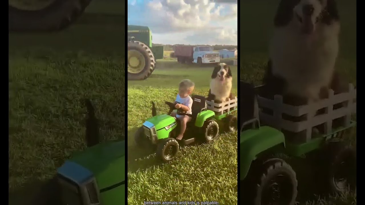 Animal & Kids Love ❤️🐾 | The Sweetest Friendship Moments Ever!