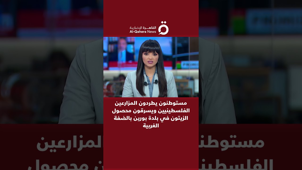 مستوطنون يطردون المزارعين الفلسطينيين ويسرقون محصول الزيتون في بلدة بورين بالضفة الغربية