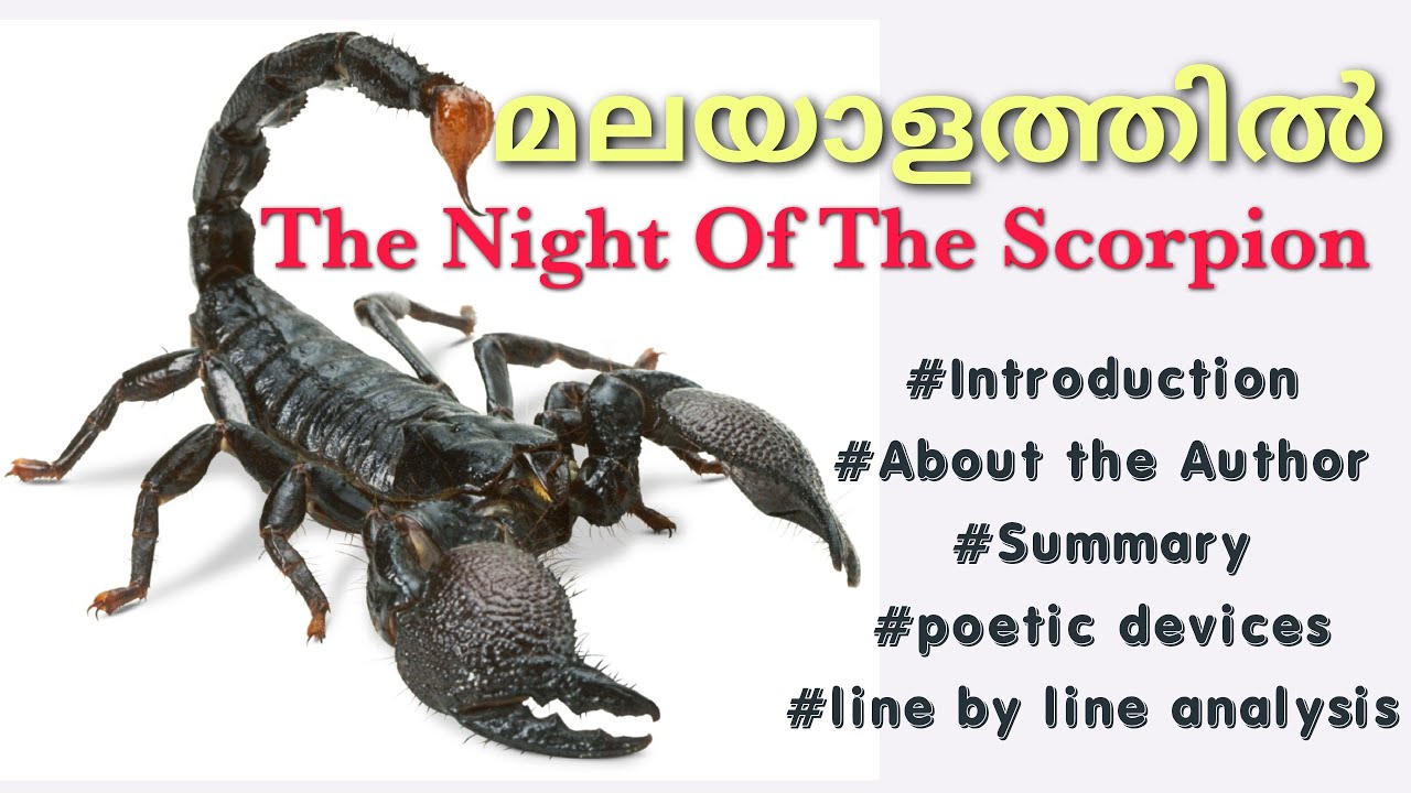 Complete Malayalam Summary of THE NIGHT OF THE SCORPION by Nissim Ezekiel