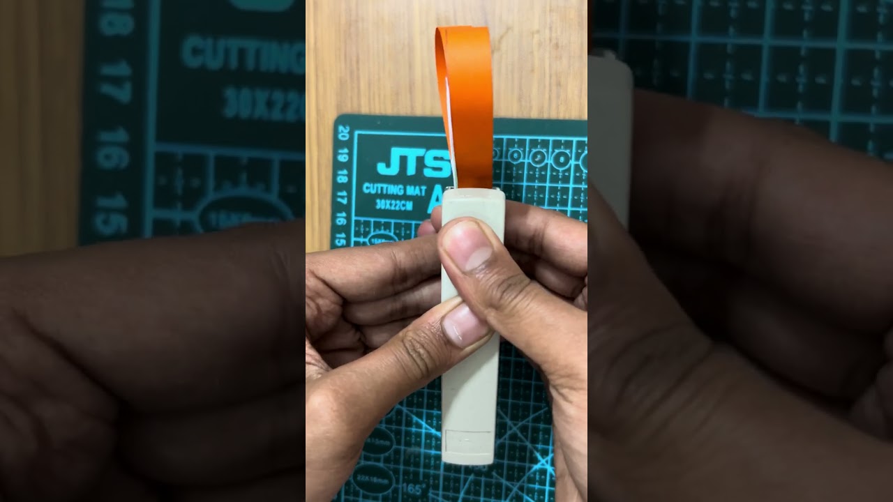 DIY Republic Day Craft