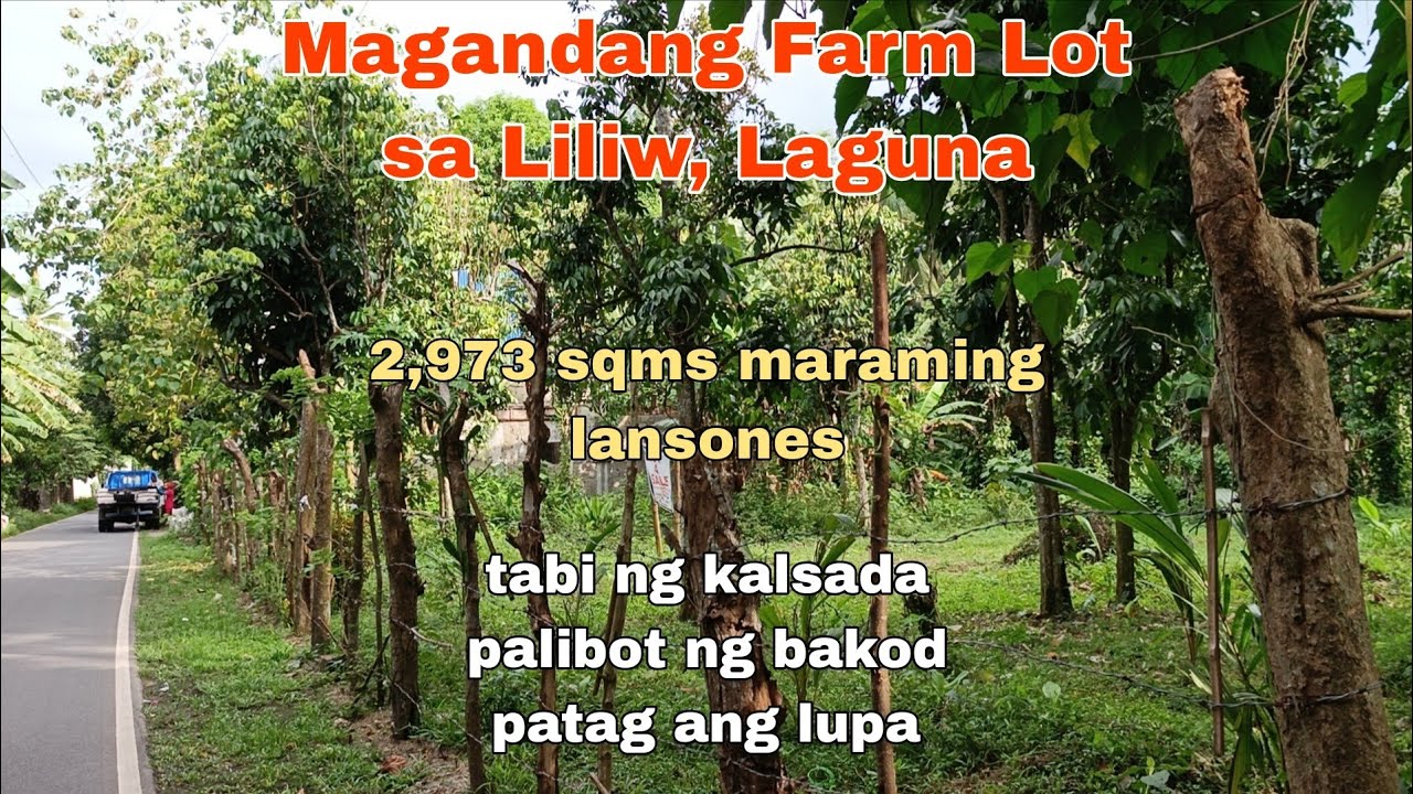 (P# 799) 2,973 sqms Farm Lot @ 5Million price palibot bakod sa Liliw, Laguna for sale