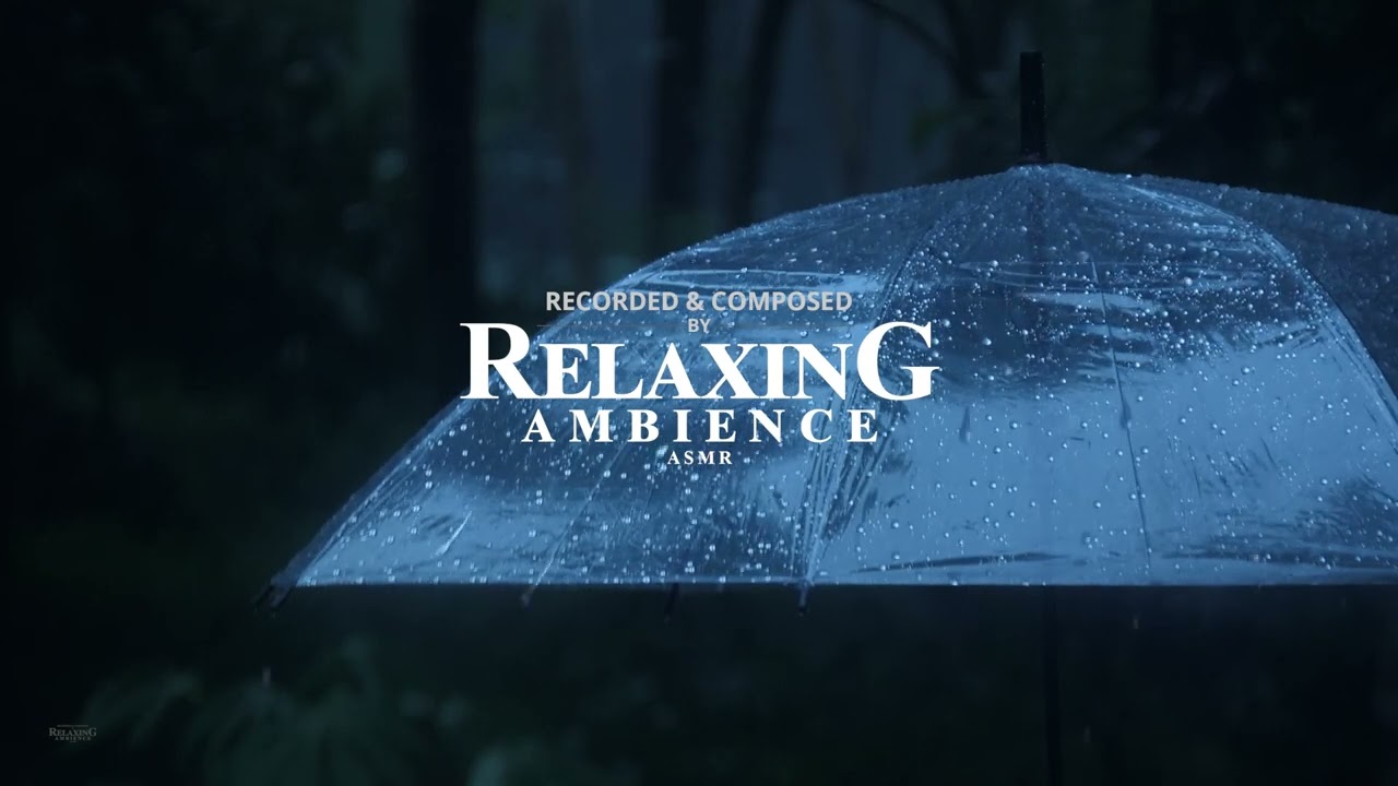 Sleep with Rain & Thunder Under Umbrella | Relaxing Sounds to Help Study, PTSD, Insomnia & Tinnitus