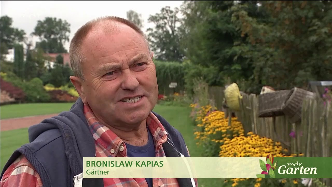 Schaugärtnerei Kapias: Die Welt in Themengärten | MDR Garten