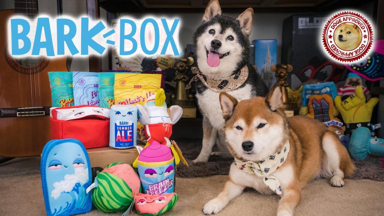 Unboxing the August 2019 BarkBox - The Dog Daze (Double Deluxe Box)