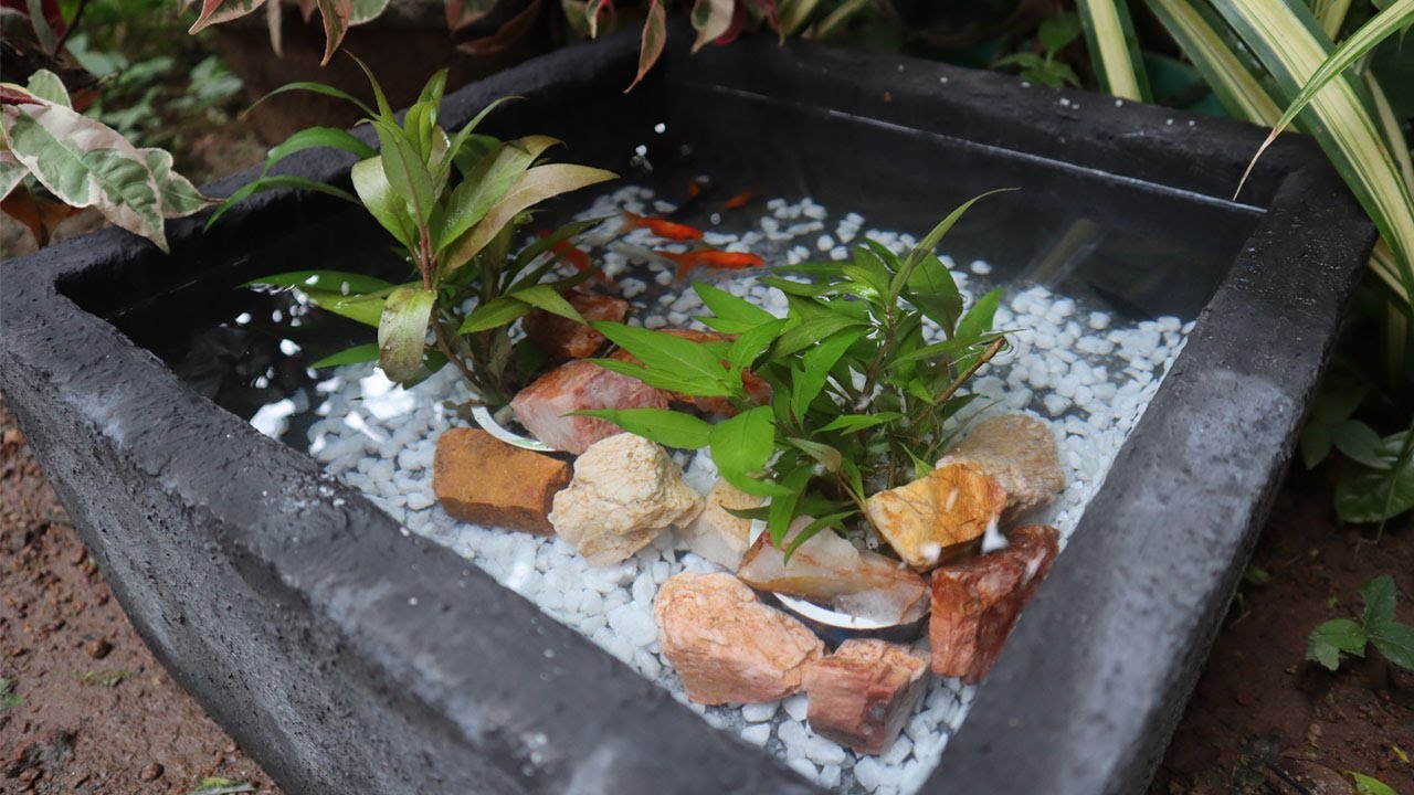 රුපියල් 350 න් හදපු මාළු ටැංකිය|How to Make Cement Fish Tank |❤M CRAFT LK❤