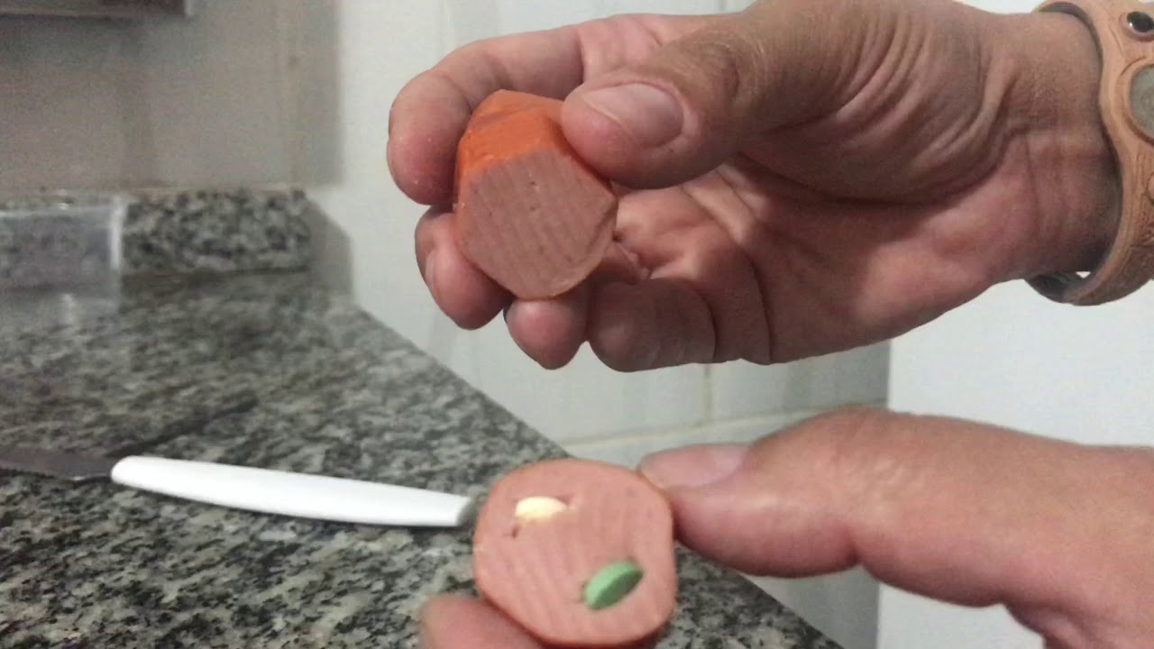 Como dar comprimidos pra cachorro