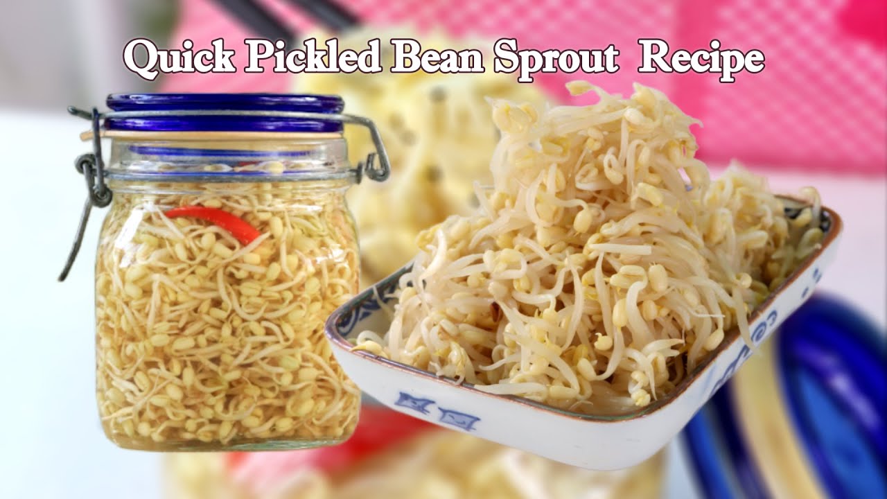 [English SUB] Bean Sprout Pickled Recipe | How to Cook Bean Sprout Pickle - Asian Pickled Recipes