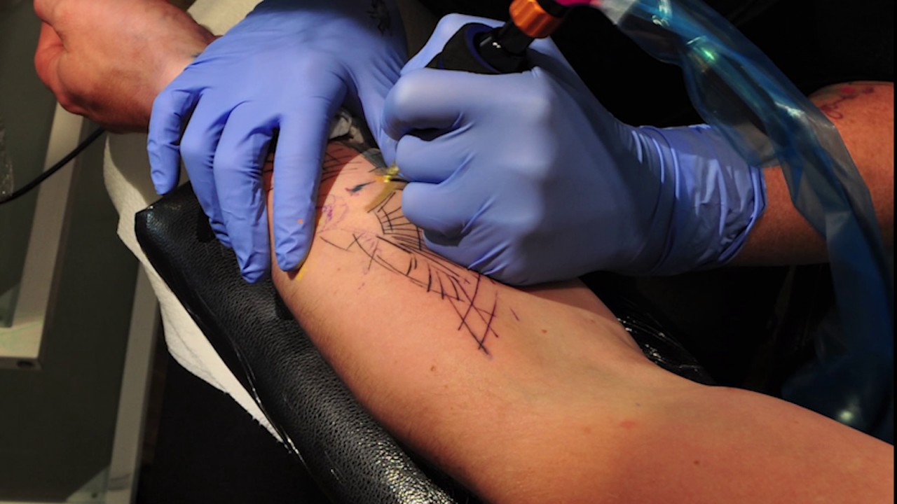 Tattoo timelapse of a Blue Tit by Mara Koekoek