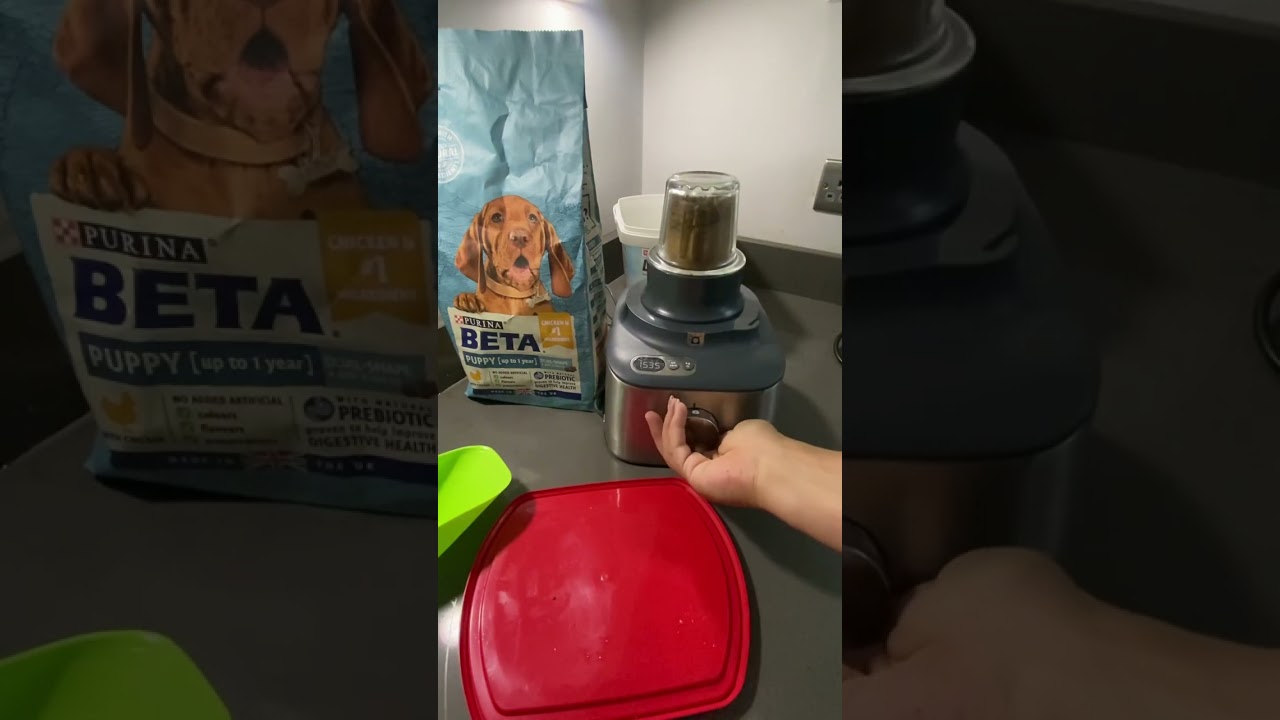 Weaning  puppies? You need to watch this it  will save you hours!  #puppy #labrador #weaning