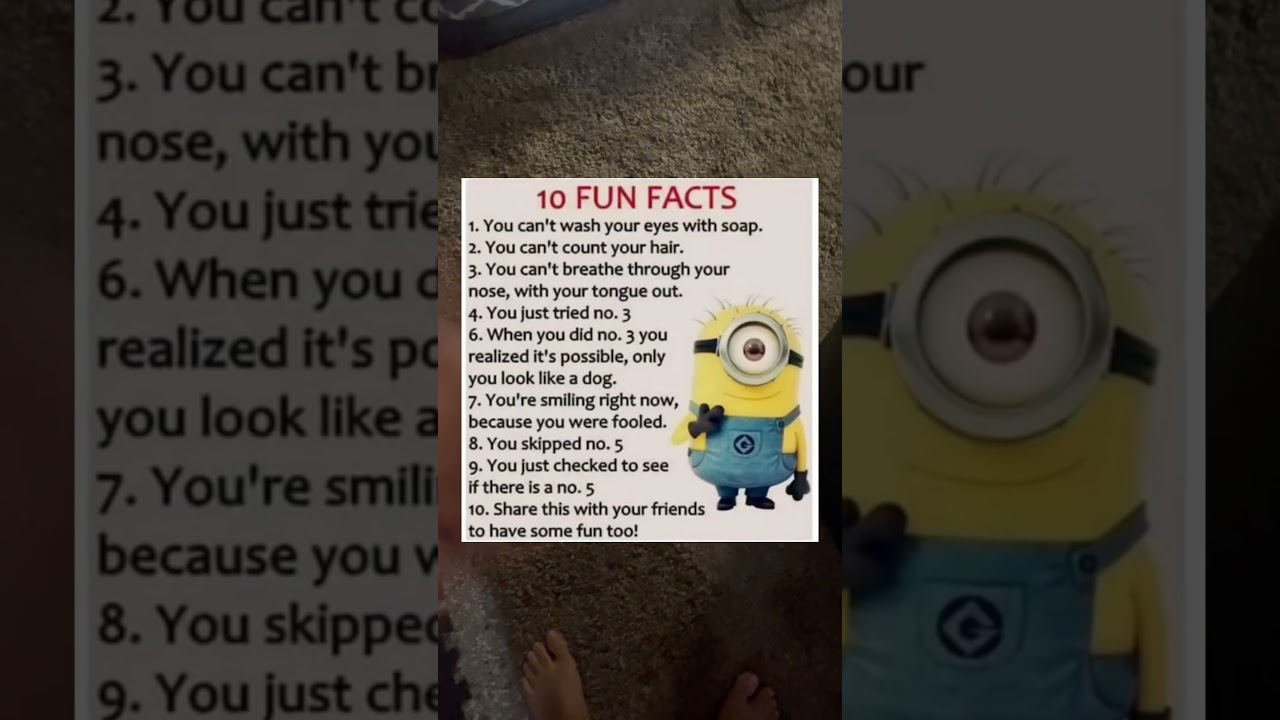 10 fun facts