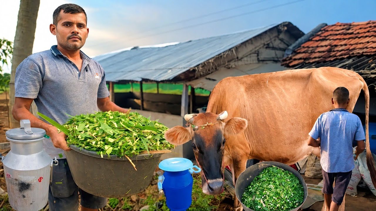 பத்தாம் வகுப்பு படித்த இளைஞர் ஆரம்பித்த  Modern Dairy Farm 10 மாடுகள் 80 லிட்டர் பால் | Siva Arun Tv