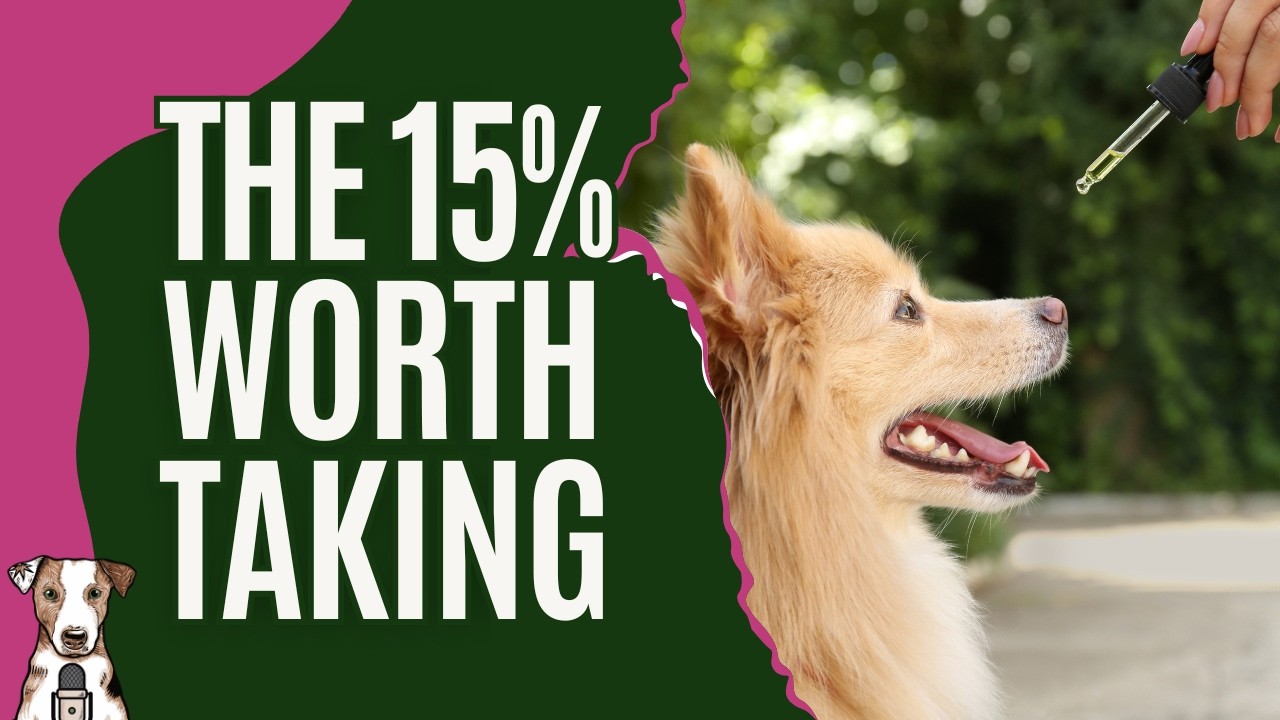 The 15% Worth Taking: Navigating Pet Supplements with Kate Mahoney