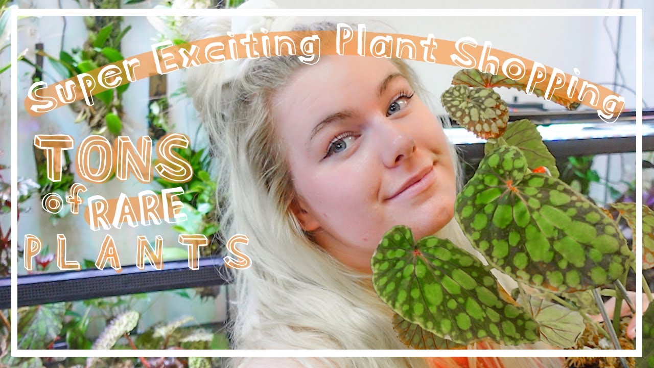 SUPER RARE Houseplant Shop Tour & Big Haul! Go Plant Shopping With ME!