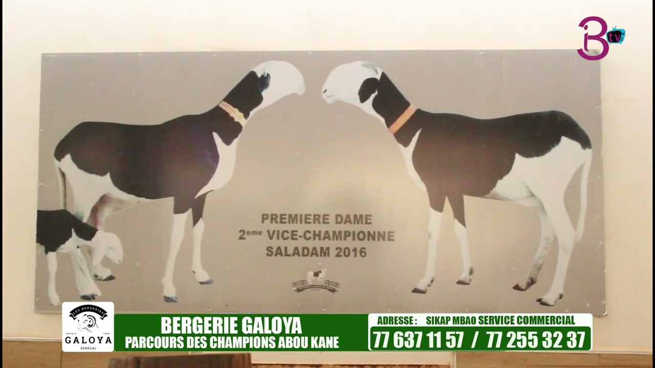 PARCOURS DES CHAMPIONS BERG GALOYA 3ÉME PARTIE