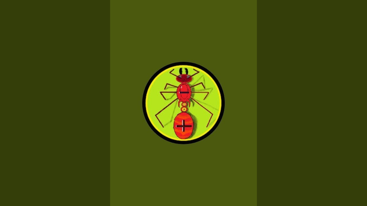 Anty Matters is live