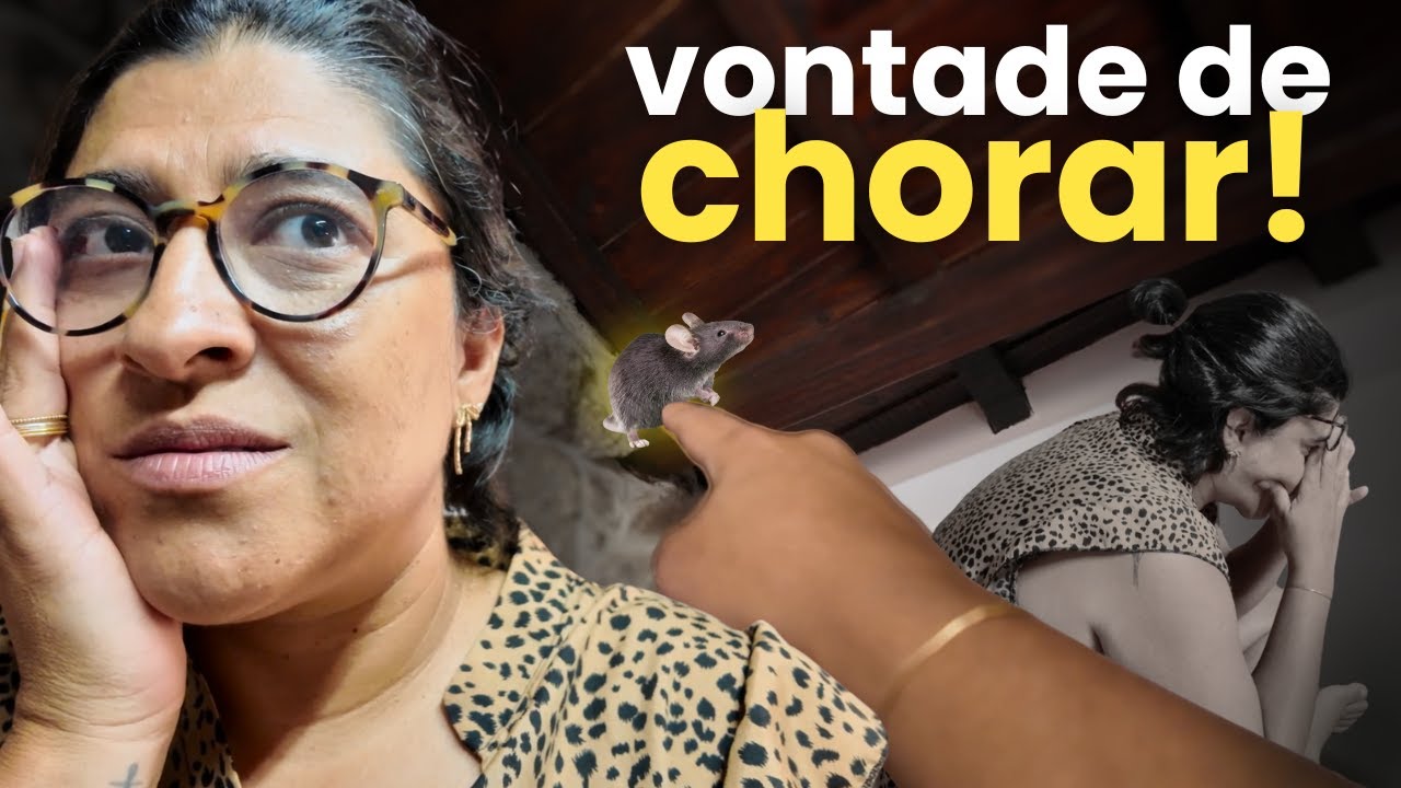 QUER MORAR EM CASA DE PEDRA? - teve até rato no telhado!