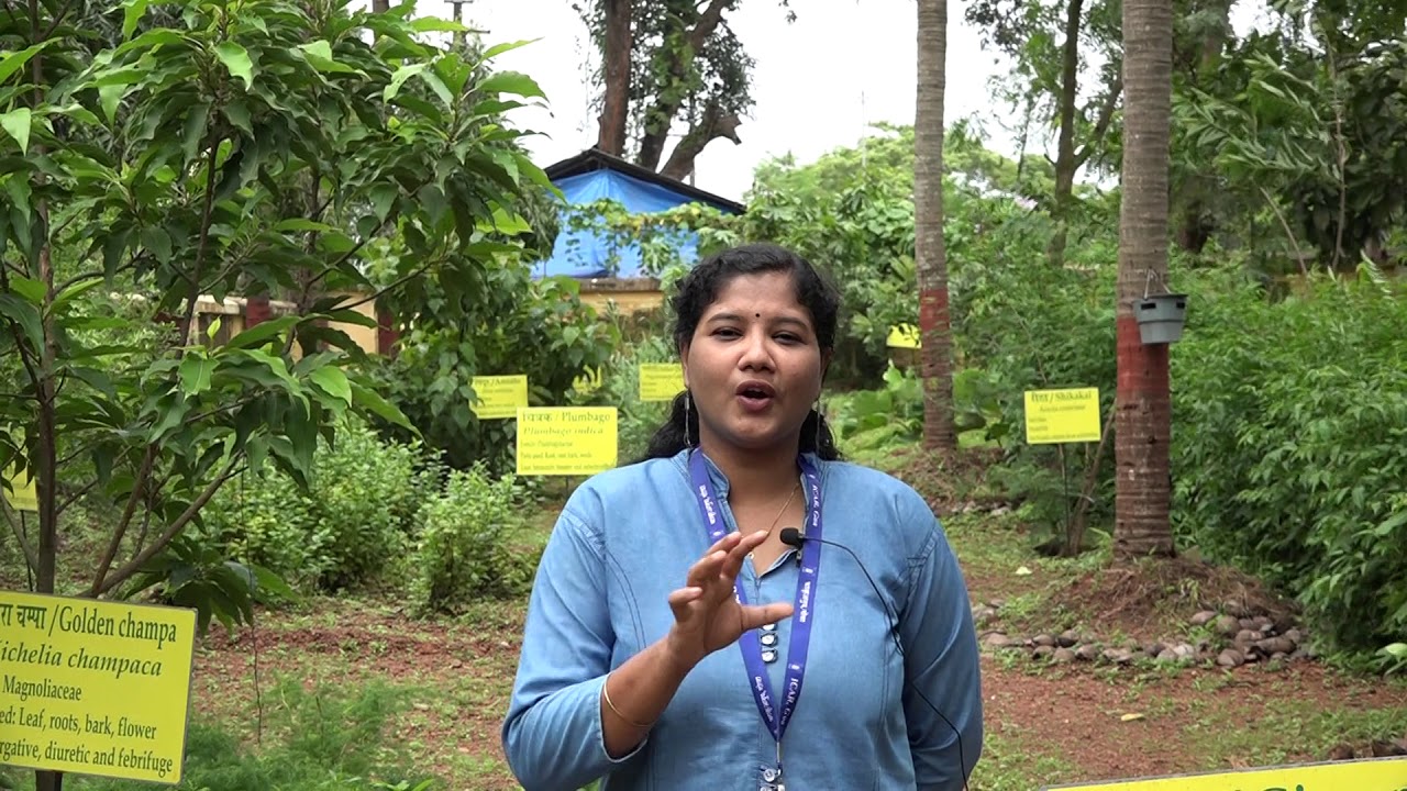 MEDICINAL GARDEN AN IMPORTANT COMPONENT OF AGRO ECO TOURISM UNIT OF ICAR CCARI GOA