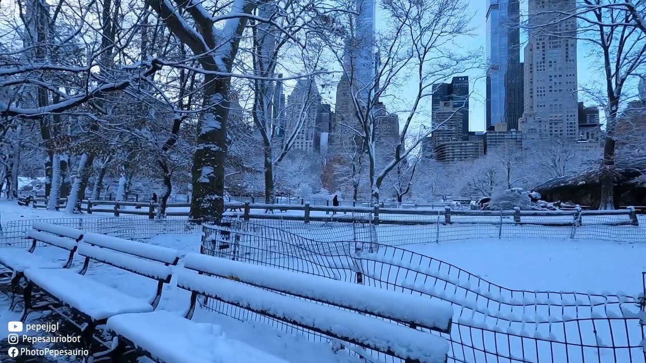 Snow and Cold to Reflect