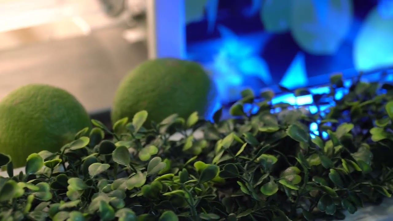 一青檸購買流程介紹