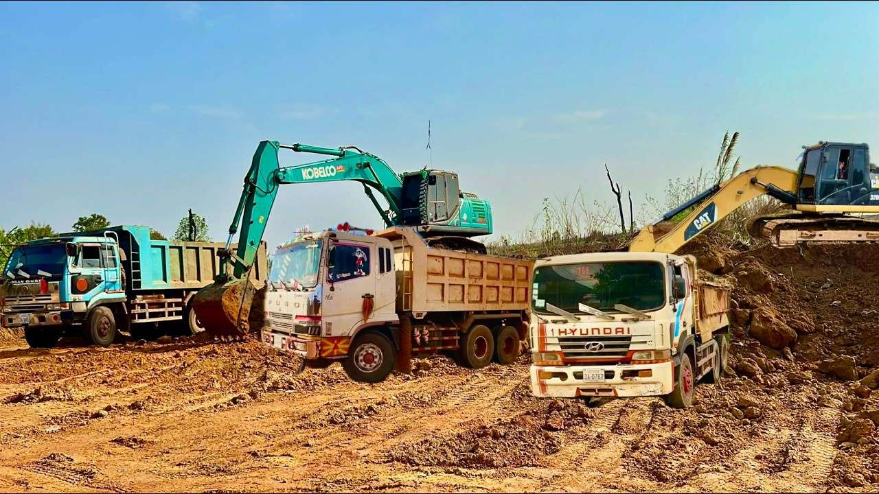 Today, we received a new project to acquire 1,000 acres of land to build houses