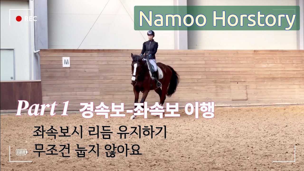 나무 승마스토리 NAMOO HORSTORY | 경속보에서 좌속보 이행 | 에이스 승마랜드 | 이강진코치 | 캄파리
