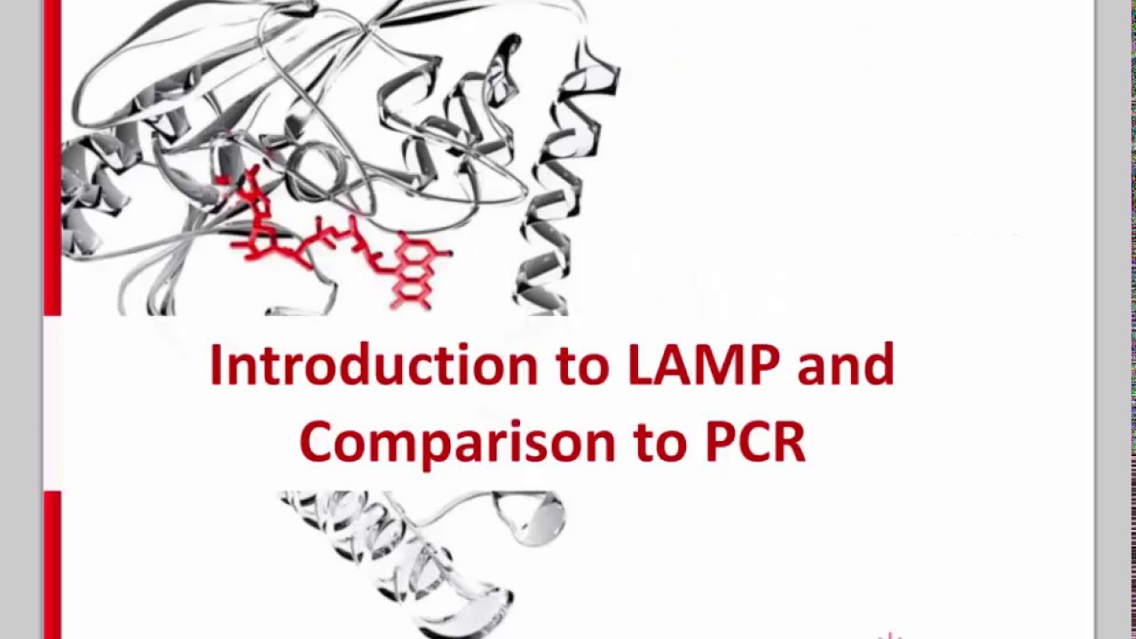 Loop-Mediated Isothermal Amplification (LAMP): Assay Development Challenges and Solutions