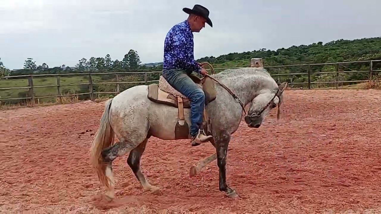 Rádio Ronaldo 1