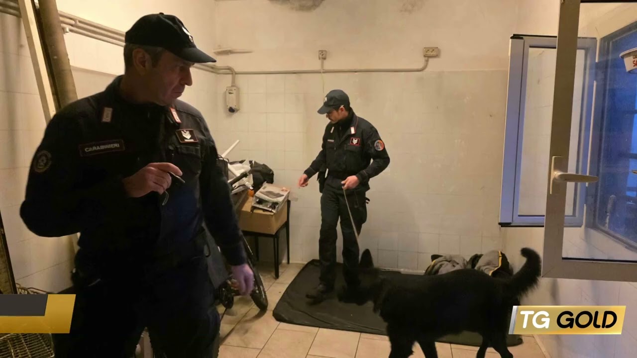 31-01-2026 - Maxi operazione dei Carabinieri: 5 arresti, 11 denunce e controlli