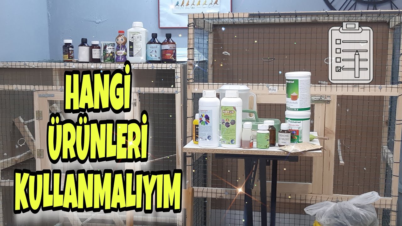 Muhabbet Kuşu Üretimi ve Takviye Ürünler